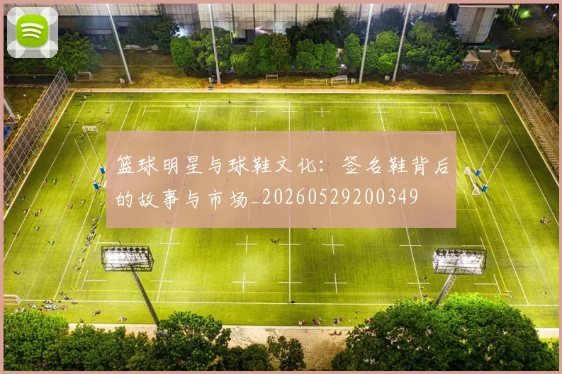 篮球明星与球鞋文化:签名鞋背后的故事与市场_20260529200349