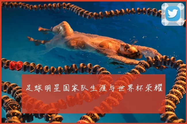足球明星国家队生涯与世界杯荣耀